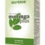 moringa