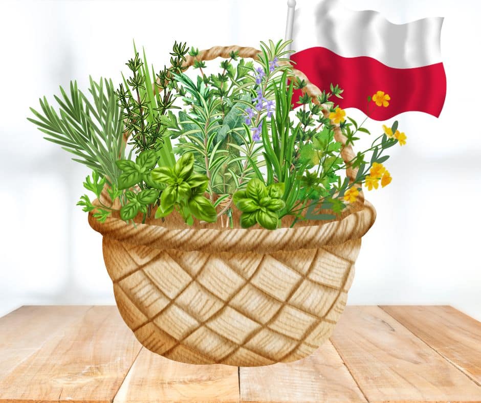 polskie zioła