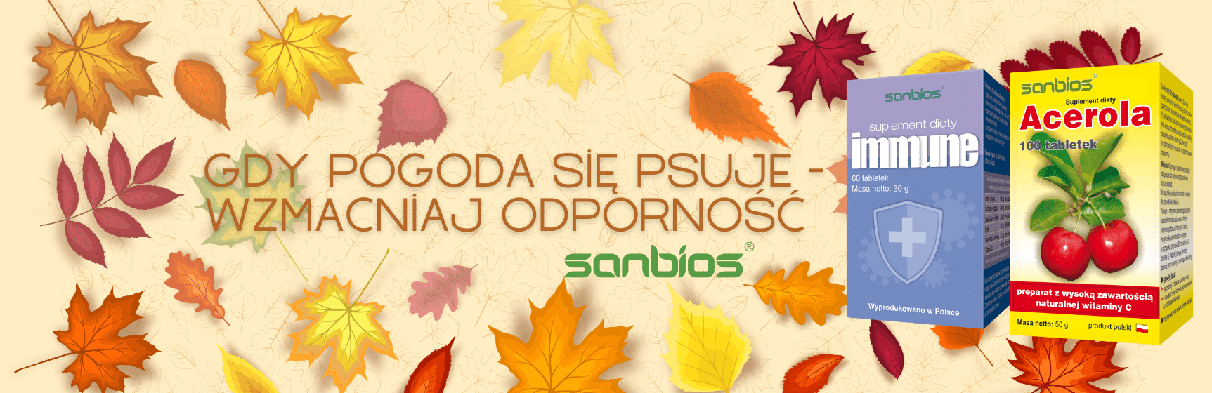 Baner na strone interentowa 6